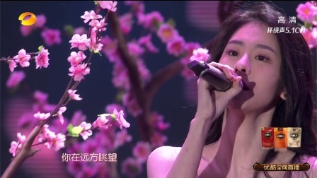 湖南卫视小年夜春晚 歌曲《凉凉》张碧晨