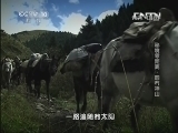 地理中国 《地理中国》 20130622 秘境零距离·圆石神山