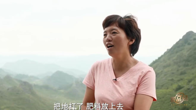《致富经》 20210813 大山里有位“拼命山娘”