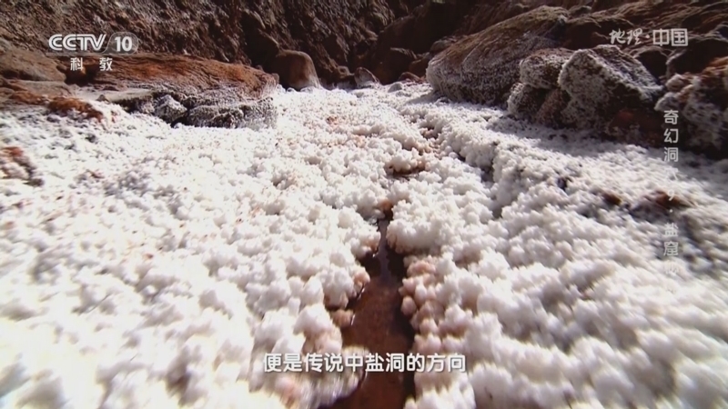 地理中国 《地理·中国》 20240121 奇幻洞穴9·盐窟秘境