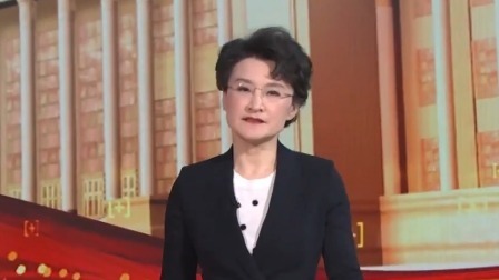 两会1+1：两会上的“三大通道”