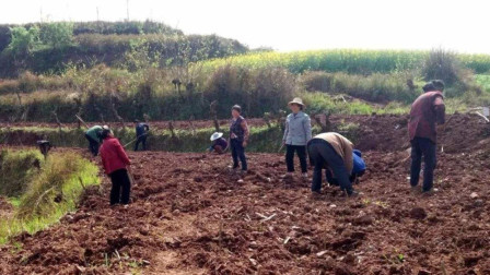 专家：农民撂荒土地要罚款！老农反问3句话