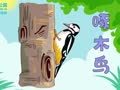 鲨鱼公园小小鲨科学课堂 各种不同的鸟窝