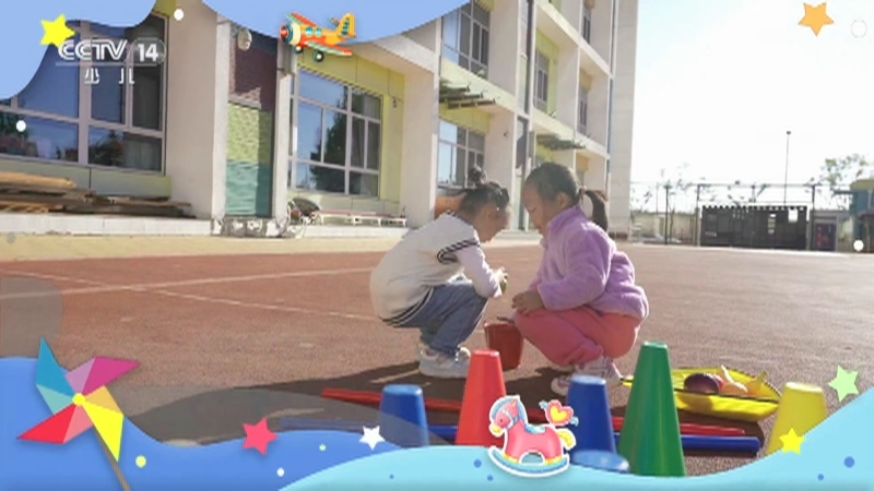 小小智慧树 《小小智慧树》 20250627