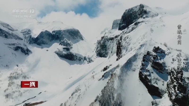 《一线》 20260401 雪域为岗 “冰凌花”开/雪域为岗 猛虎蒙冤