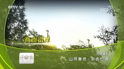 地理中国 《地理中国》 20190204 山河春色·安吉竹语