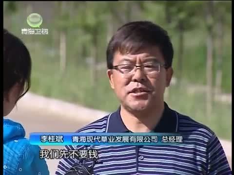 江源扫描 《江源扫描》 20150829 贵南：草业之乡的畜牧业之路
