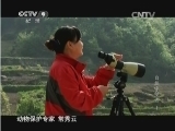 《时代》 20140922 自然守望者 第一集 树上有窝鸟