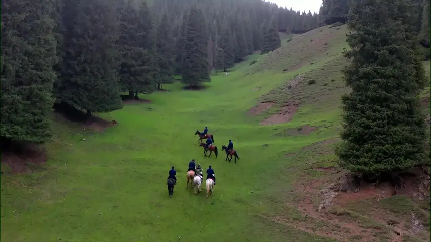 《无穷之路2：无价之保》第8集