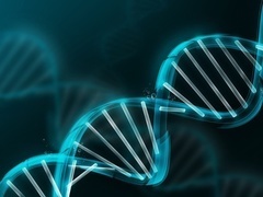 传奇故事2019 被污染的DNA