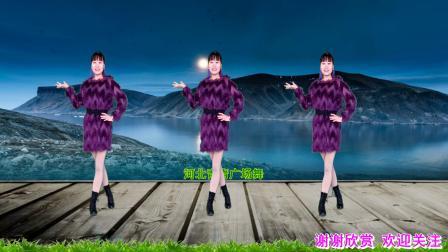 动感广场舞《若问相思有多长》32步附教学