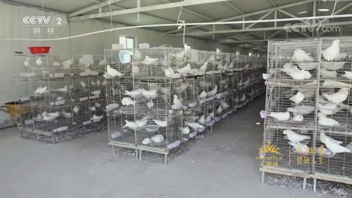 消费主张 《消费主张》 20200413 家乡的味道：古朴醇厚西北菜（上）