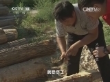 我爱发明 《我爱发明》 20140912 大树巧脱衣