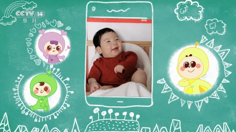 小小智慧树 《小小智慧树》 20250502