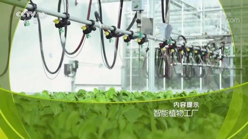 走近科学 《走近科学》 20190704 智能植物工厂