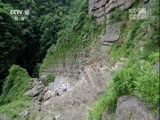 地理中国 《地理中国》 20171130 七星山探奇（下）