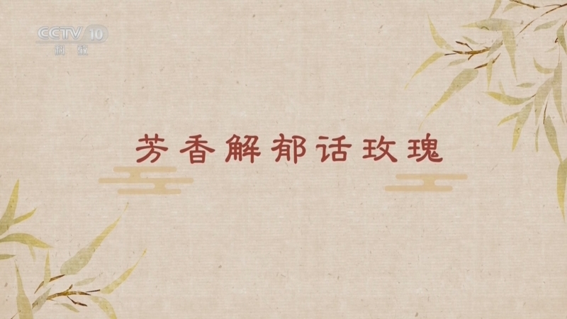 《百家讲坛》 20251226 舌尖上的养生（第三部） 2 芳香解郁话玫瑰