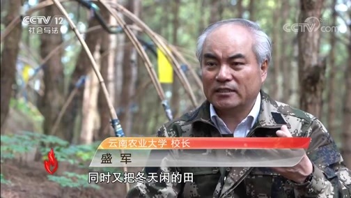 道德观察 《道德观察(日播版)》 20191229 “农民院士”朱有勇
