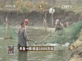致富经 《致富经》 20151126 养鱼一年 多卖1000万元