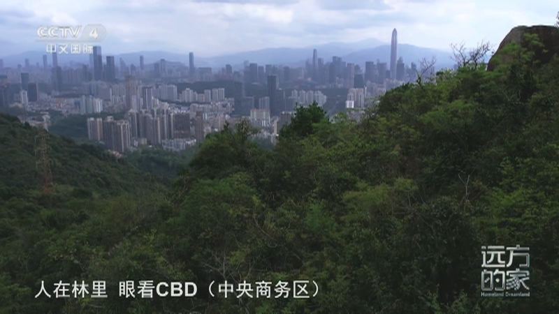 远方的家 《远方的家》 20250901 山河锦绣看中国 山海连城 深圳故事