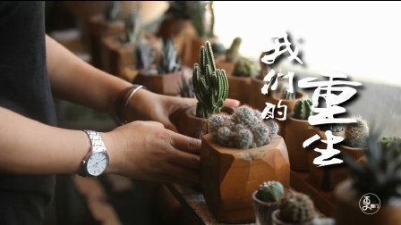 二更视频 人只有一生 但可以活不止一次 814