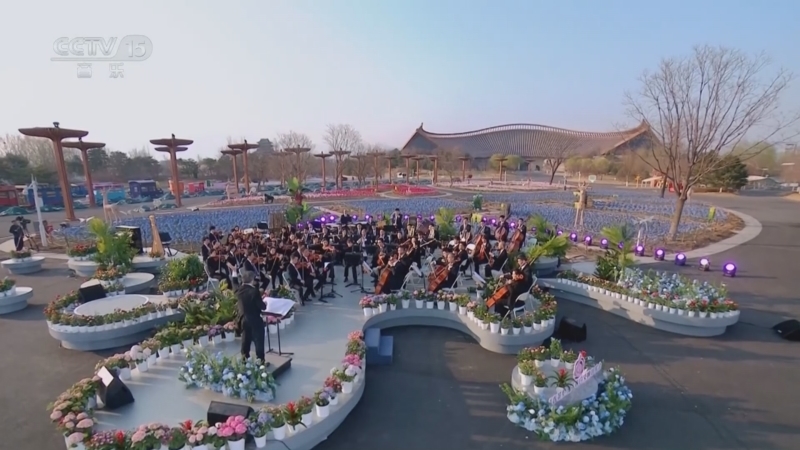 《“春花烂漫”春日交响音乐会》 20250502