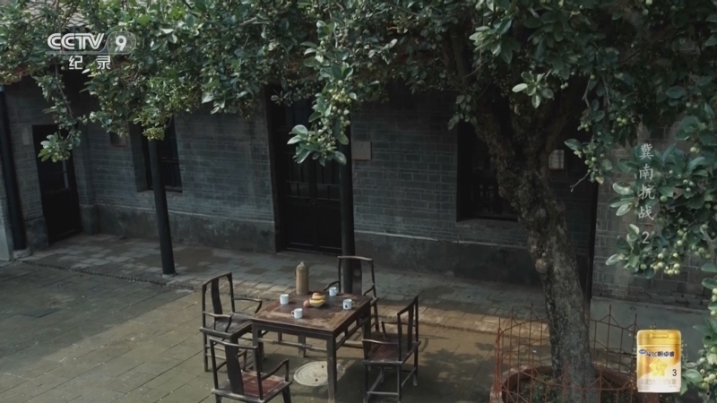 《冀南抗战》 第2集 战斗中成长