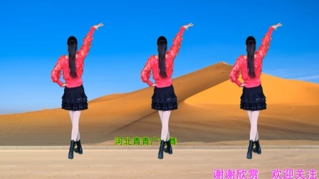 新潮动感DJ健身舞《热情的沙漠》演示分解