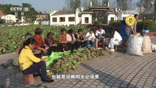 我爱发明 《我爱发明》 20181212 剥蓬元帅