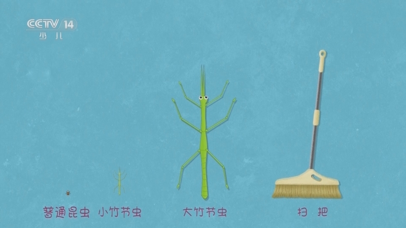 小小智慧树 《小小智慧树》 20240910
