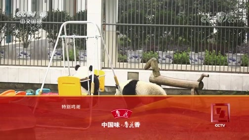远方的家 《远方的家》 特别节目——金色假期（5） 千姿百态的动物世界 20181005