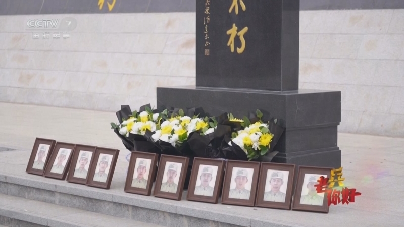 老兵你好 《老兵你好》 20250405 2025年清明节特别节目 你们的样子