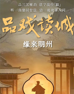 品戏读城 海报