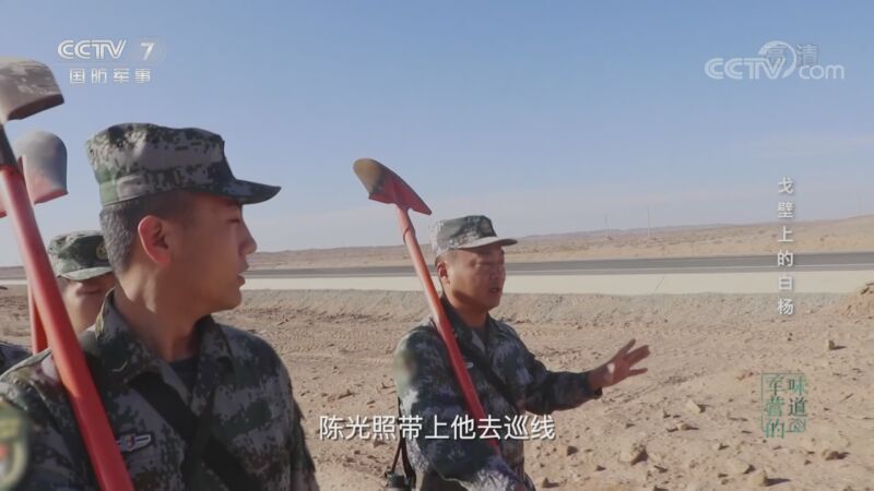 军营的味道 《军营的味道》 20201108 戈壁上的白杨