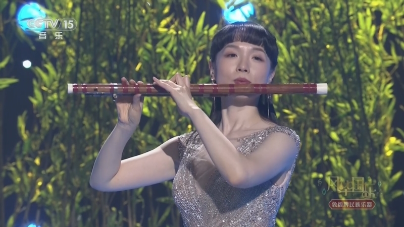 风华国乐 《风华国乐》 20260224 曲暖新元 08:57
