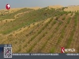 东方新闻 《东方新闻》 20170912