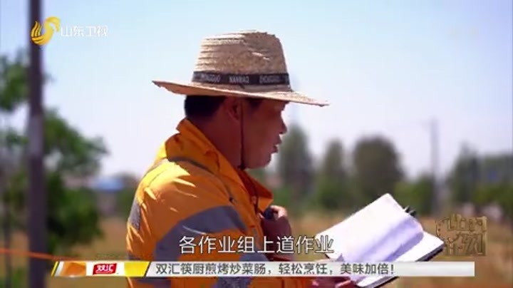 把最好的年华献给您