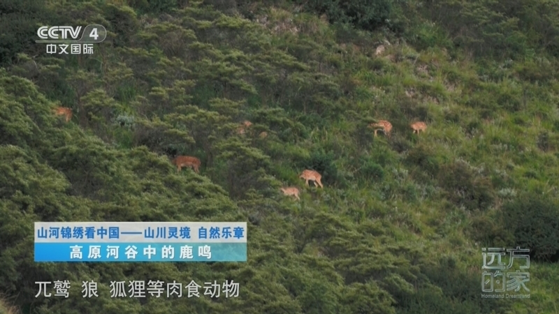 《远方的家》 20260407 山河锦绣看中国 山川灵境 自然乐章