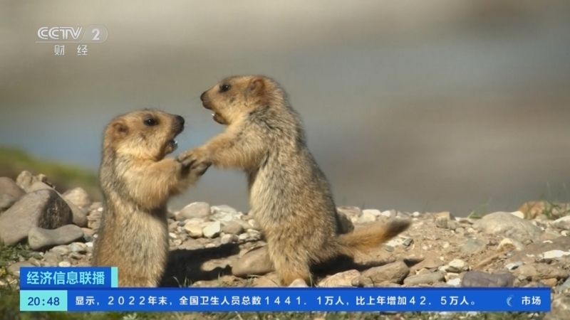 经济信息联播 《经济信息联播》 20231012