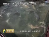 消费主张 《消费主张》 20180417 舌尖上的春天（三）：四川河鲜