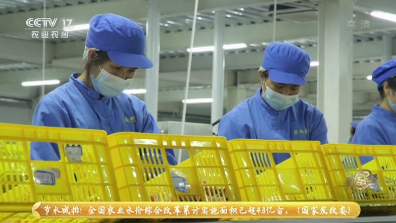 《致富经》 20210528 从香鸭蛋开始的“臭”财富