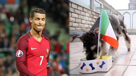 生死战浪射C罗如何救赎 竞彩狗挺意大利