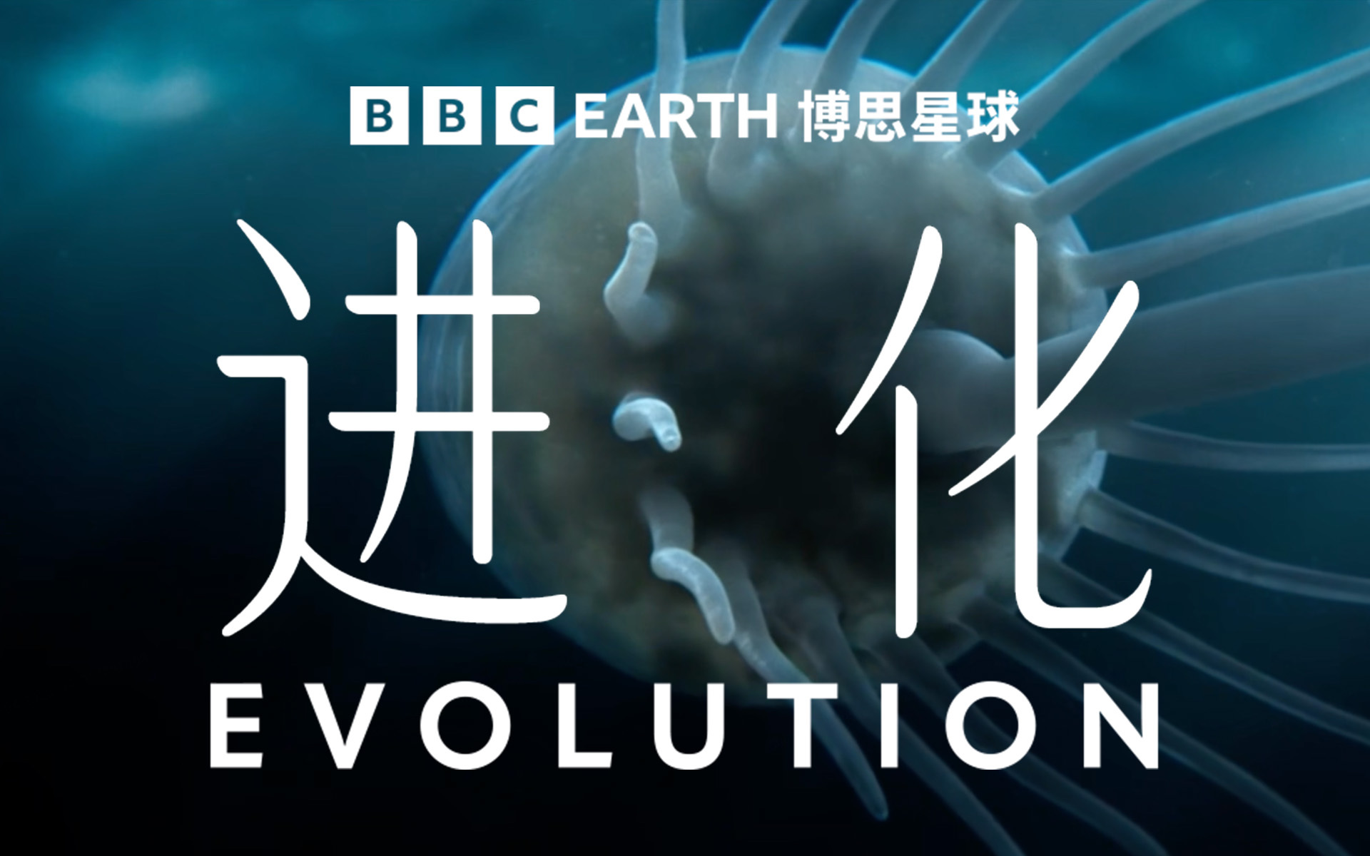 从单细胞到大象