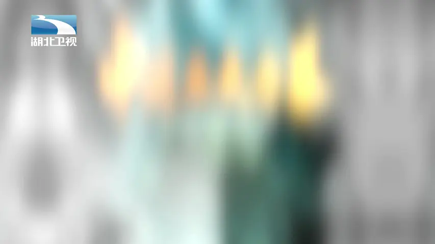 大揭秘 《大揭秘》第45集