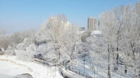 红绿灯20210224