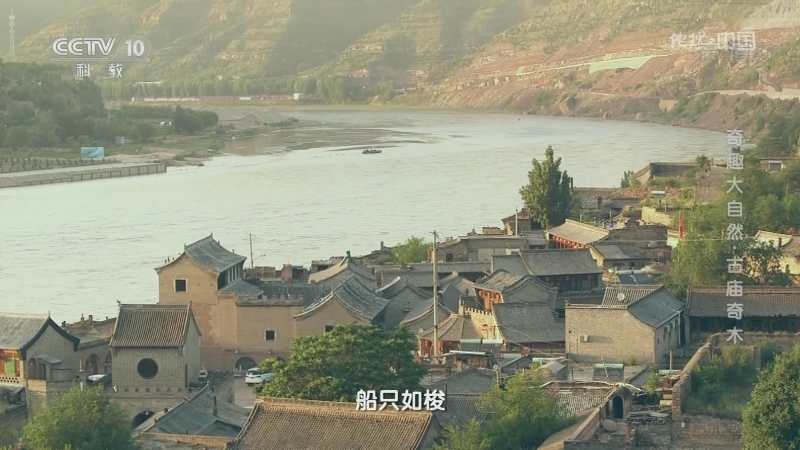 地理中国 《地理·中国》 20201213 奇趣大自然·古庙奇木