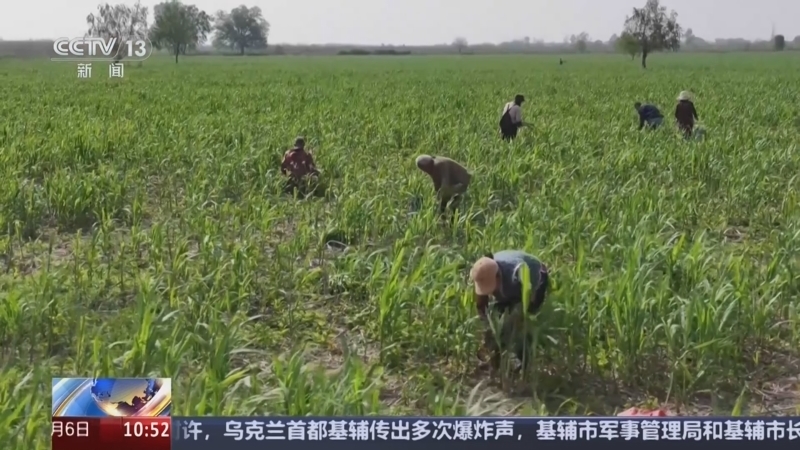 《家国清明》 20250406