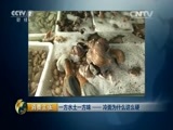 消费主张 《消费主张》 20150612 一方水土一方味——冷面为什么这么硬