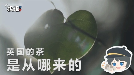 报信儿 有人偷钱，有人偷情，怎么还有人偷茶？！