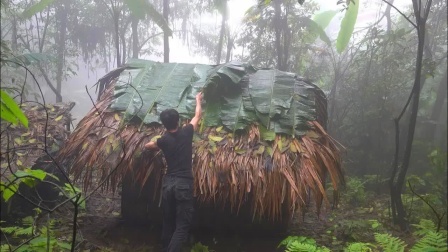 热带雨林荒野下雨频繁，想要躲过雨季，必须加固庇护所